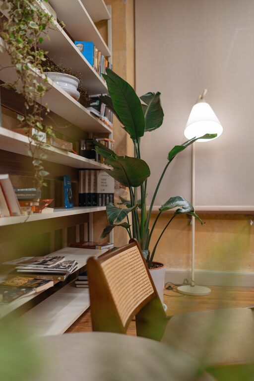 Tips for Creating a Cozy Reading Nook in Any Space